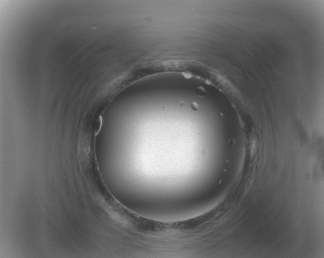 X0000082170593200701270002