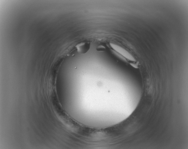 X0000082170594200701270002