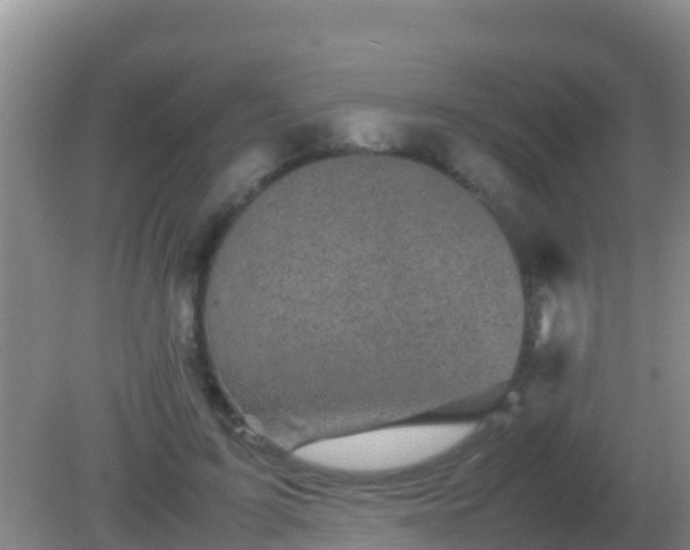 X0000082170595200701270002