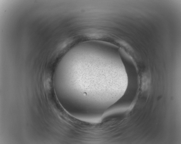 X0000082170596200701270002