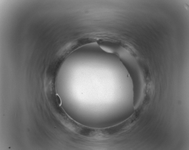 X0000082170597200701270002