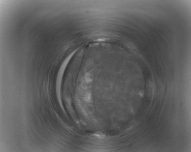 X0000082170598200701270002