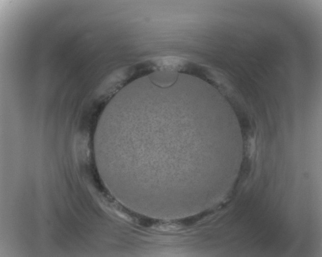 X0000082170599200701270002