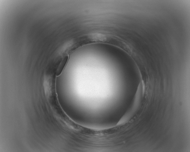 X0000082170600200701270002