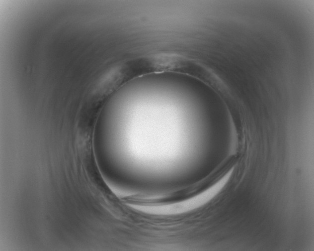 X0000082170601200701270002