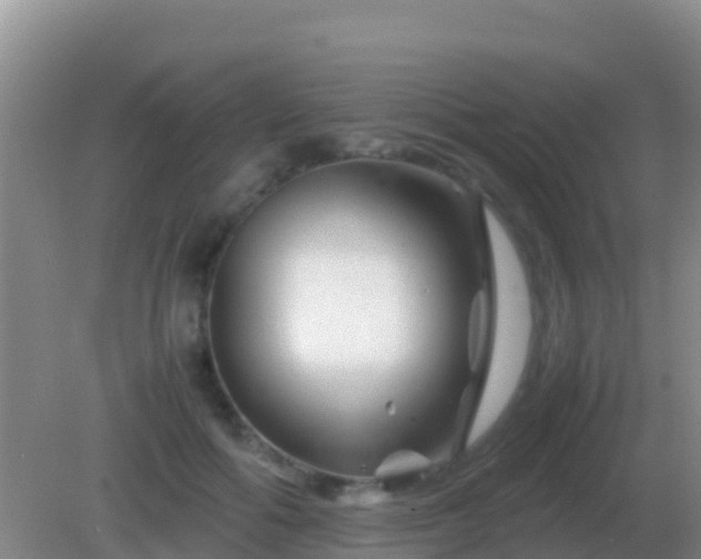 X0000082170602200701270002