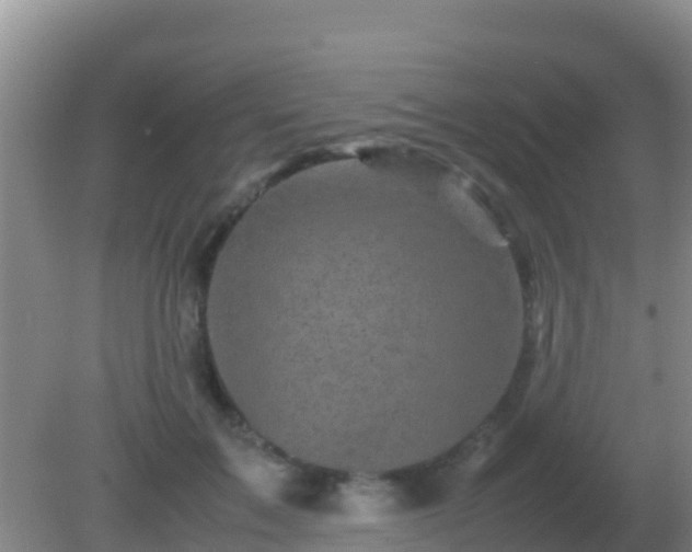 X0000082170603200701270002