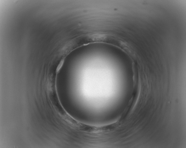 X0000082170604200701270002