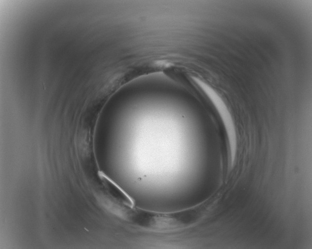 X0000082170605200701270002