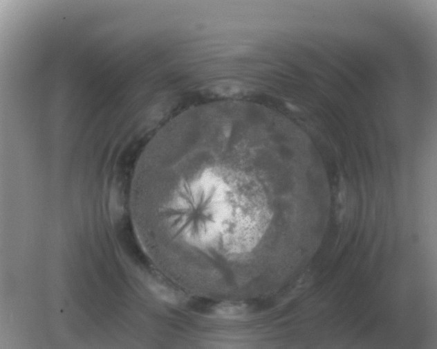 X0000082170606200701270002