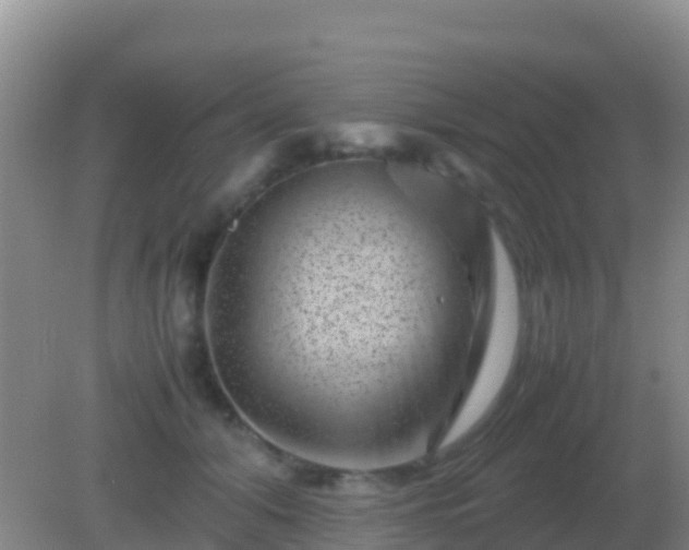 X0000082170608200701270002