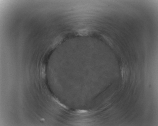 X0000082170610200701270002