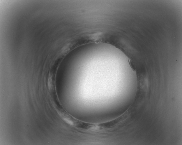 X0000082170611200701270002