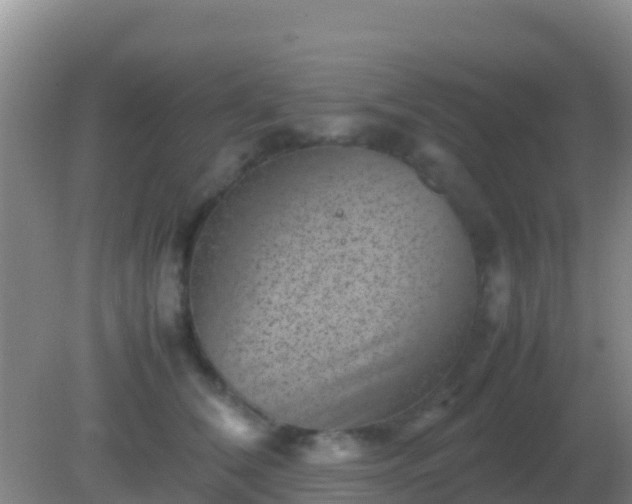 X0000082170612200701270002