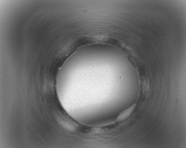 X0000082170613200701270002