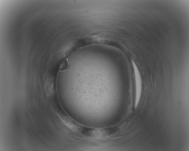 X0000082170615200701270002