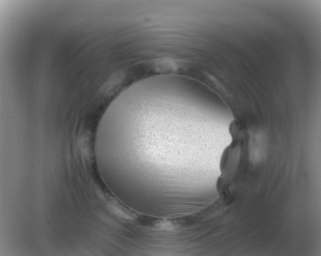 X0000082170616200701270002