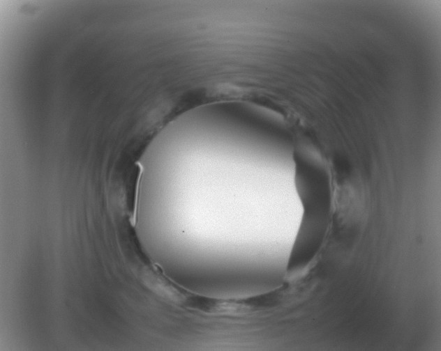 X0000082170617200701270002