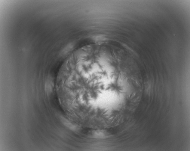 X0000082170618200701270002