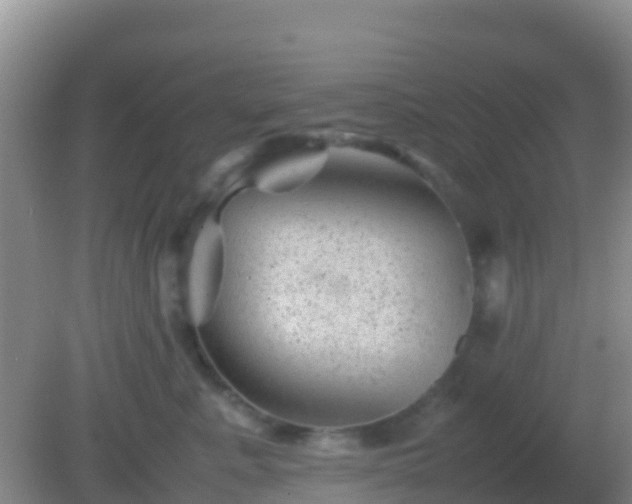 X0000082170619200701270002