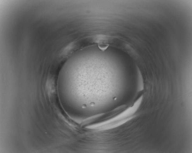 X0000082170620200701270002