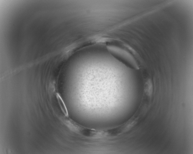 X0000082170621200701270001