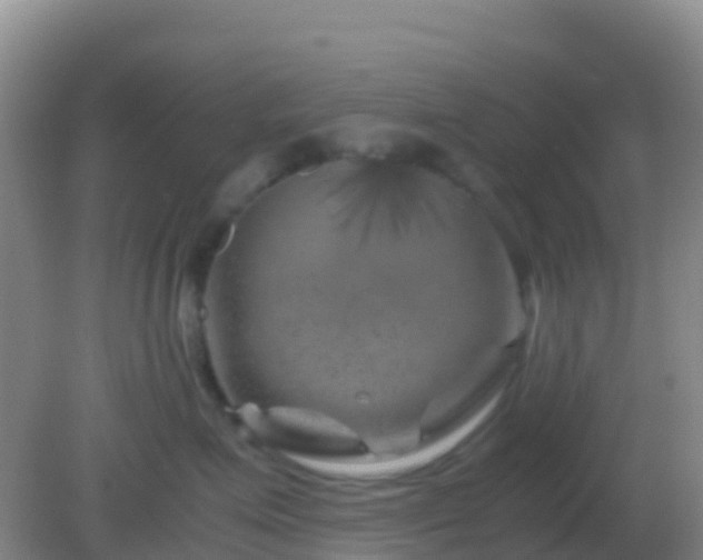 X0000082170623200701270001