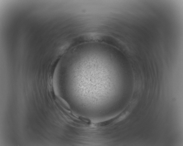 X0000082170624200701270001