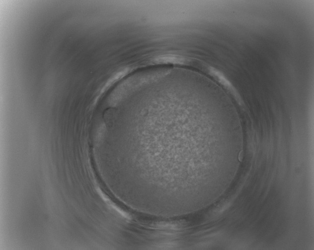 X0000082170625200701270001