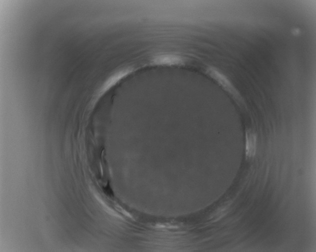 X0000082170627200701270001