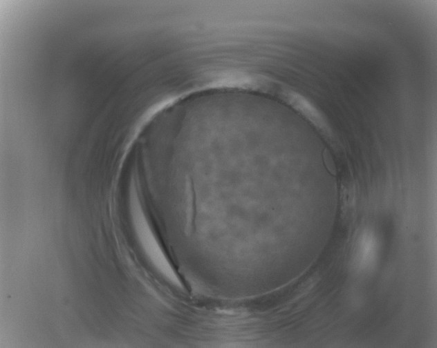 X0000082170628200701270001