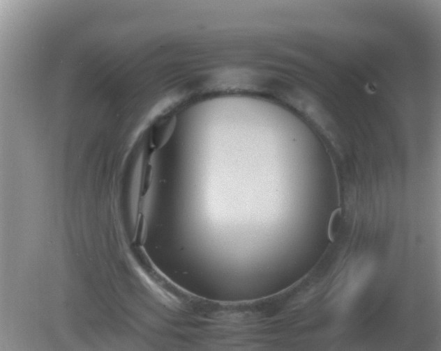 X0000082170629200701270001