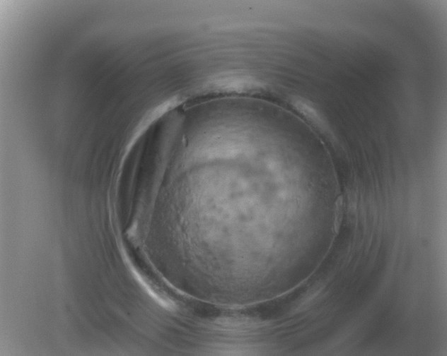 X0000082170630200701270001