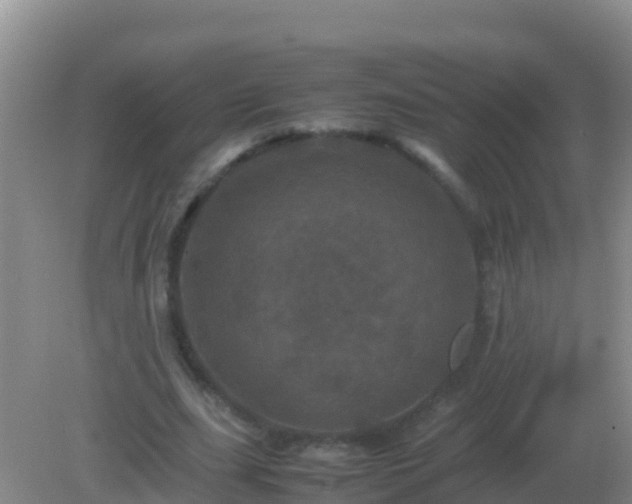 X0000082170631200701270001