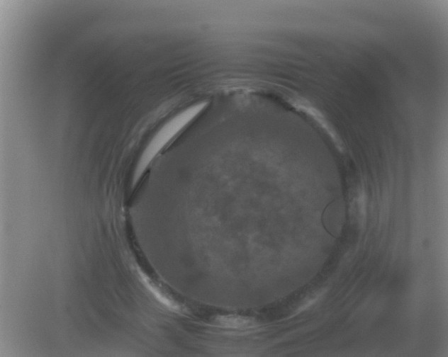 X0000082170633200701270001