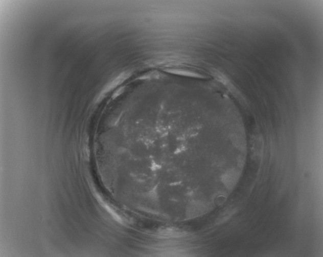 X0000082170634200701270001