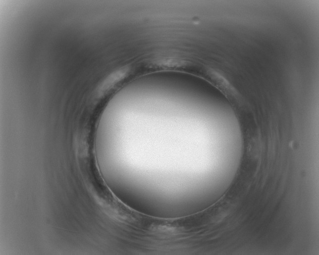 X0000082170635200701270001