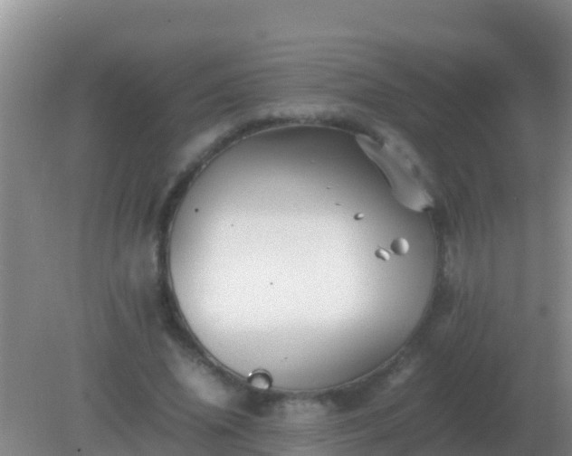 X0000082170636200701270001