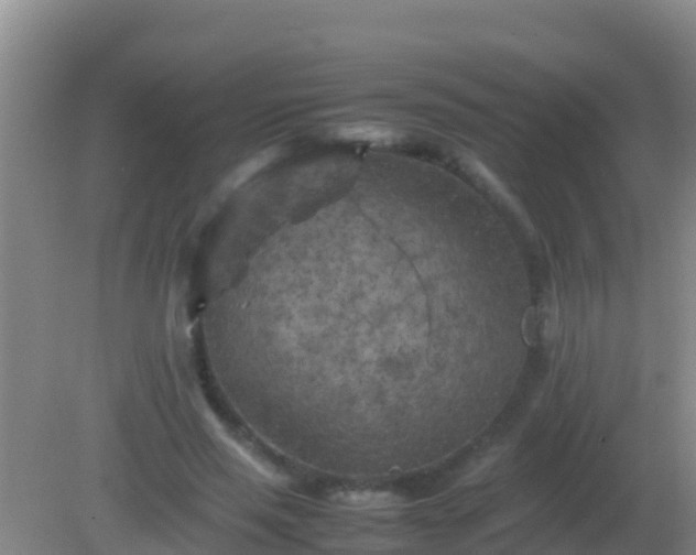 X0000082170637200701270001