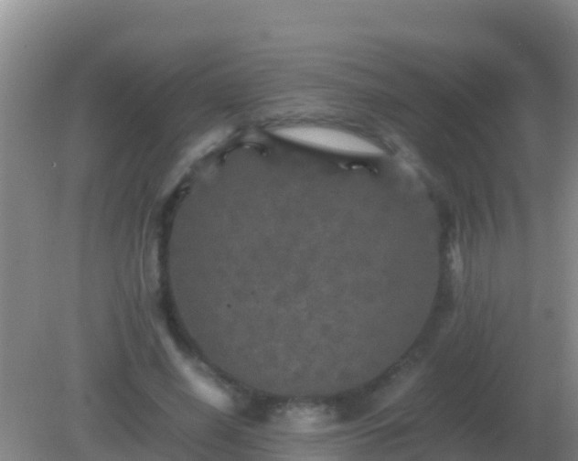 X0000082170638200701270001