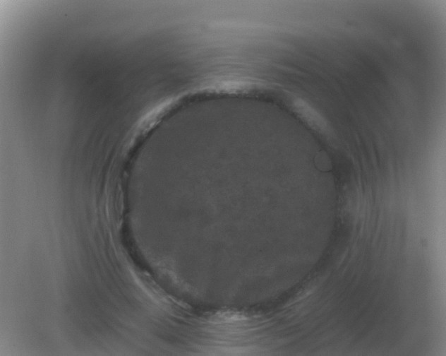 X0000082170640200701270001