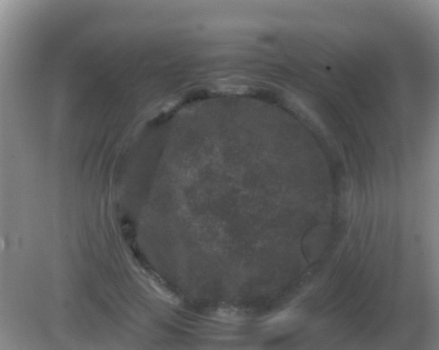 X0000082170641200701270001