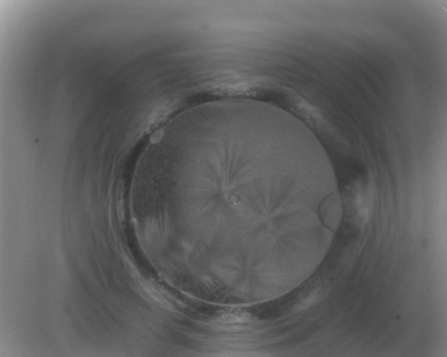 X0000082170642200701270001