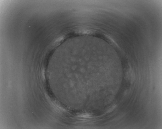 X0000082170643200701270001