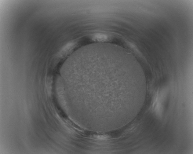 X0000082170645200701270001