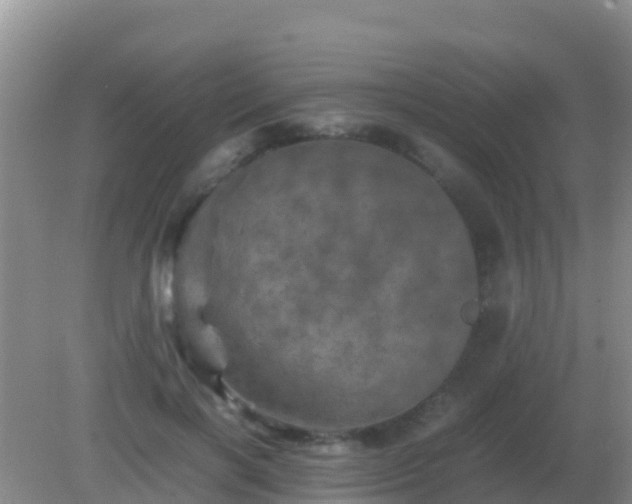 X0000082170646200701270001