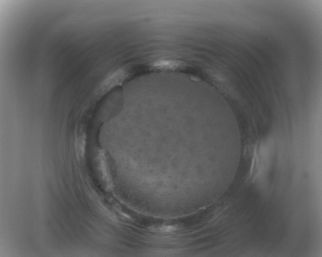 X0000082170647200701270001