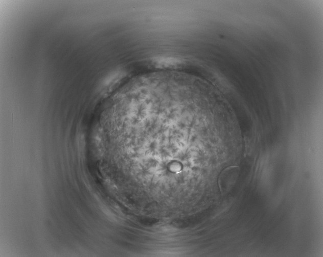 X0000082170648200701270001