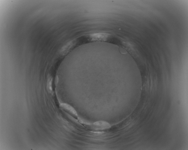 X0000082170649200701270001