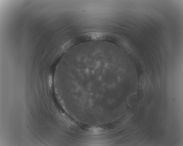 X0000082170650200701270001